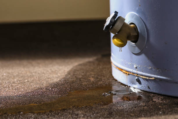 Carpet water damage restoration in TX