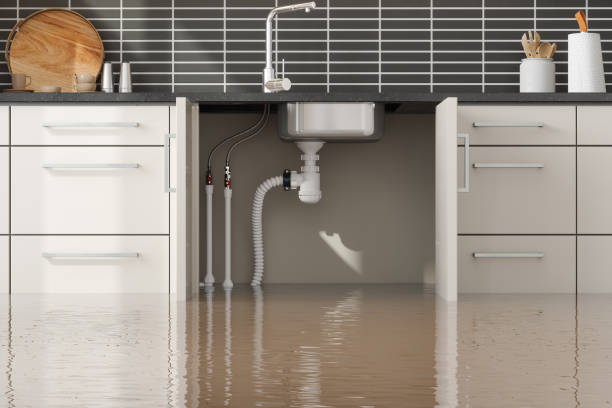 Best Residential water damage restoration  in Miles, TX