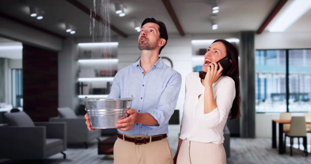 Best Flood damage cleanup  in Miles, TX